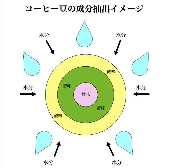 コーヒー豆の成分抽出イメージ